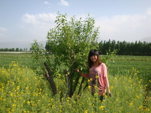 DSC00193.JPG