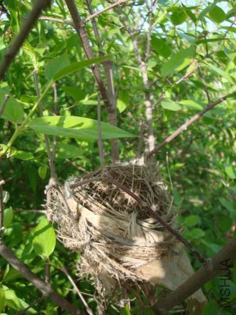DSC00252.JPG
