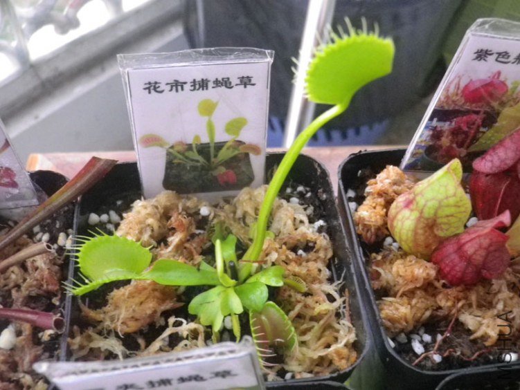 IMGP2180.JPG