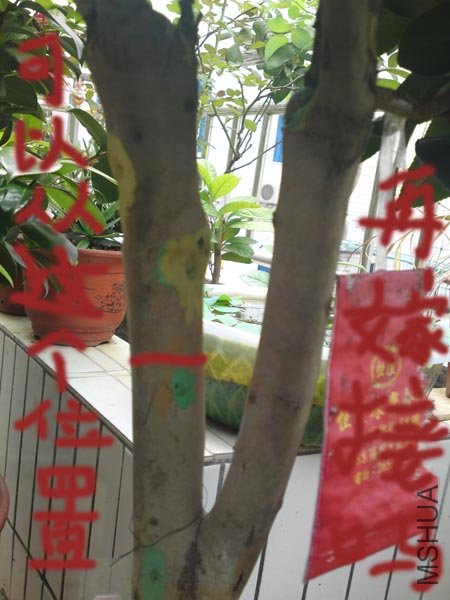 ���ʸ��ֿ��ԴӾ��˵�λ���ټ޽���