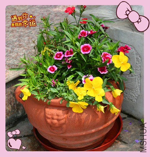 ��Ƭ 091_������1.jpg