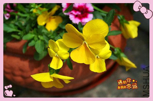 ��Ƭ 093_������3.jpg