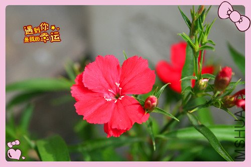 ��Ƭ 094_������4.jpg