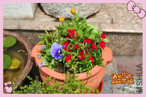 ��Ƭ 146_������5.jpg