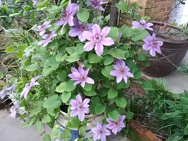 IMG_20120423_071248.jpg
