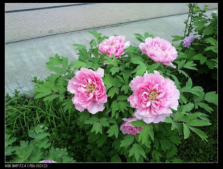 nEO_IMG_A12 004.jpg