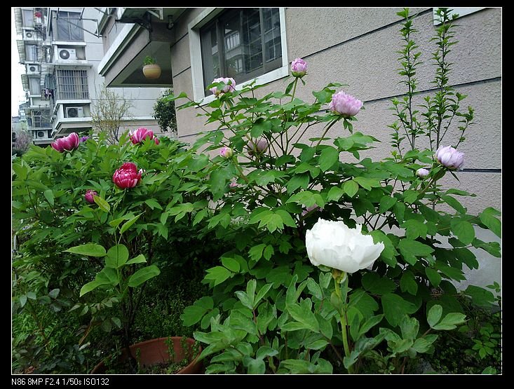 nEO_IMG_A12 005.jpg