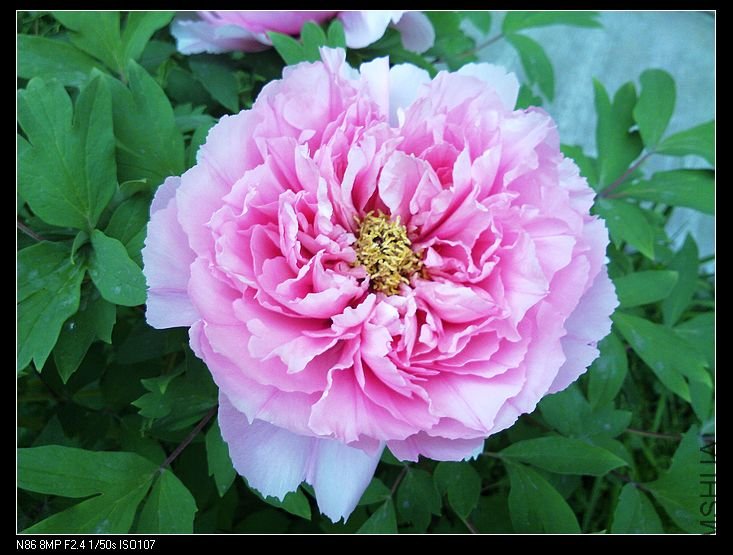 nEO_IMG_A12 008.jpg