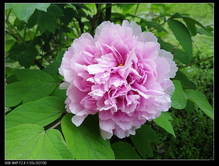 nEO_IMG_A12 009.jpg