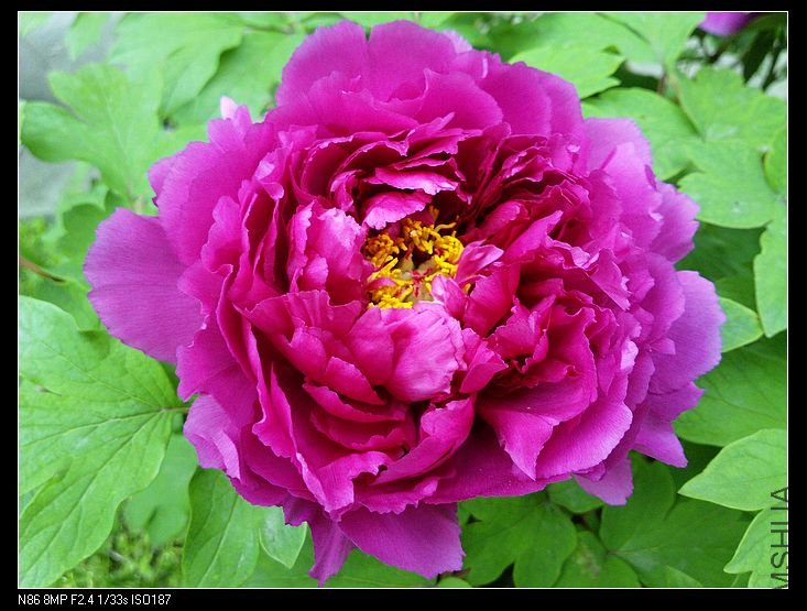 nEO_IMG_A12 010.jpg