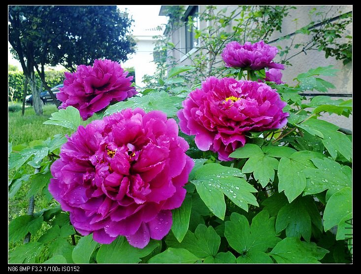 nEO_IMG_A12 012.jpg