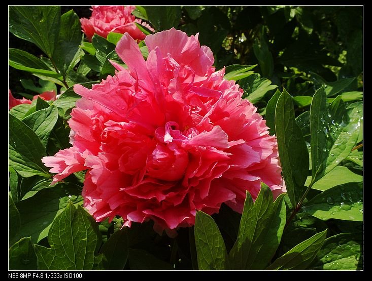 nEO_IMG_A12 020.jpg