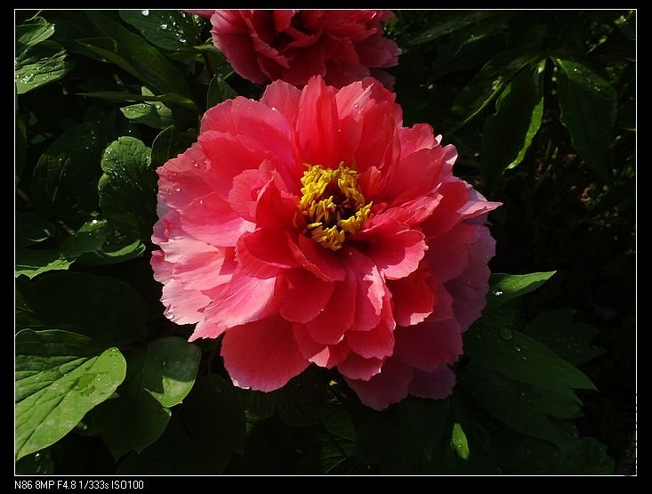 nEO_IMG_A12 021.jpg