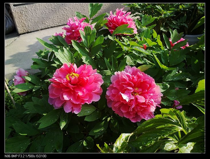 nEO_IMG_A12 022.jpg