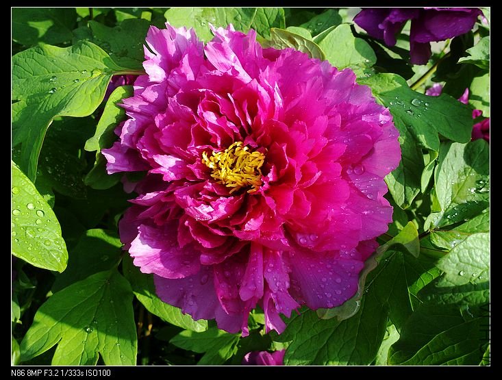 nEO_IMG_A12 023.jpg