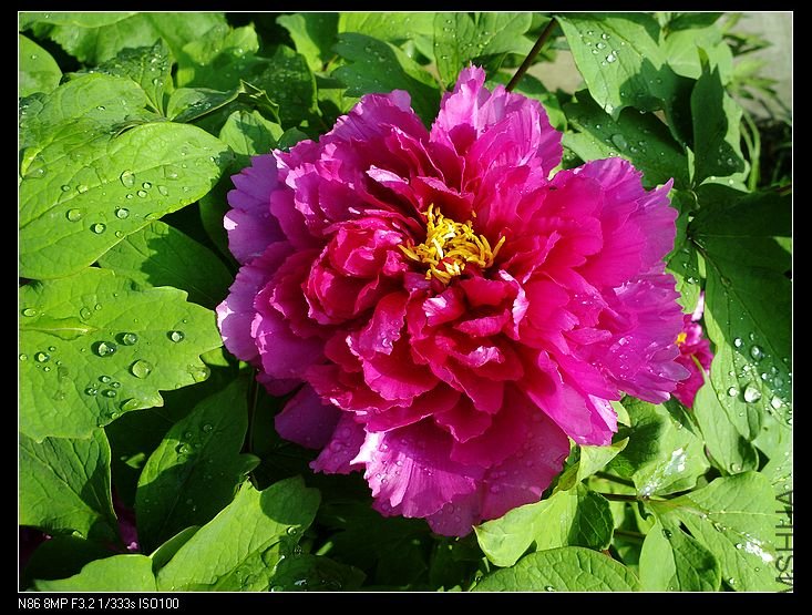 nEO_IMG_A12 024.jpg