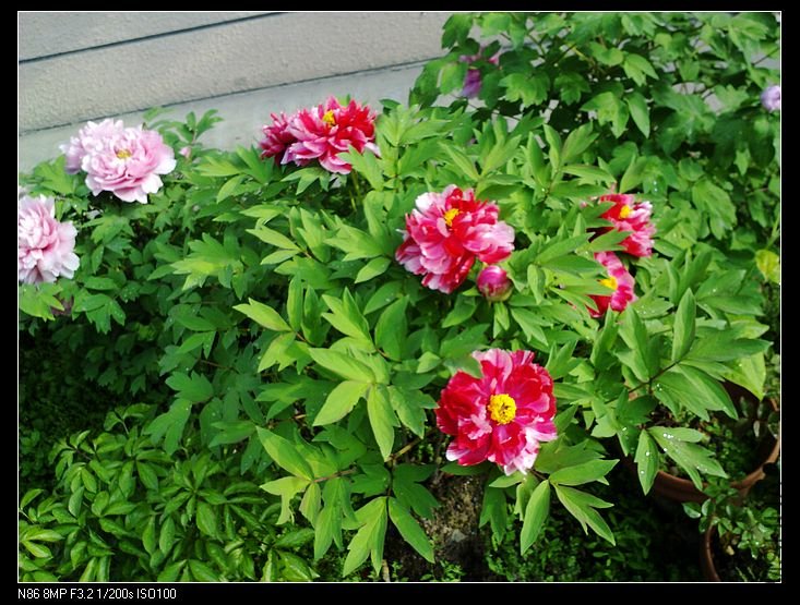 nEO_IMG_A12 026.jpg