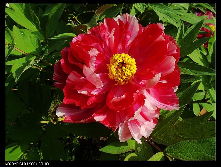 nEO_IMG_A12 027.jpg