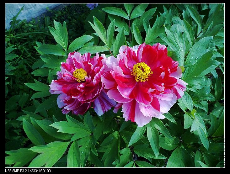 nEO_IMG_A12 028.jpg