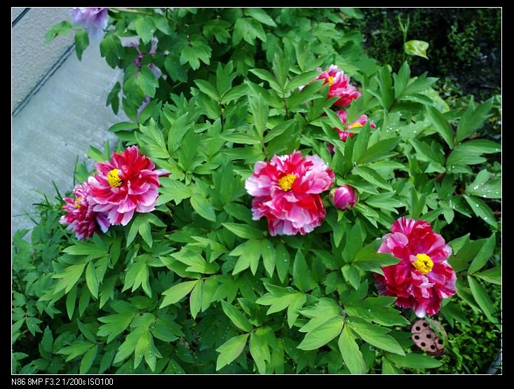 nEO_IMG_A12 029.jpg