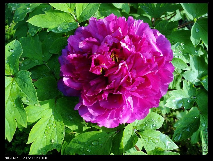 nEO_IMG_A12 033.jpg