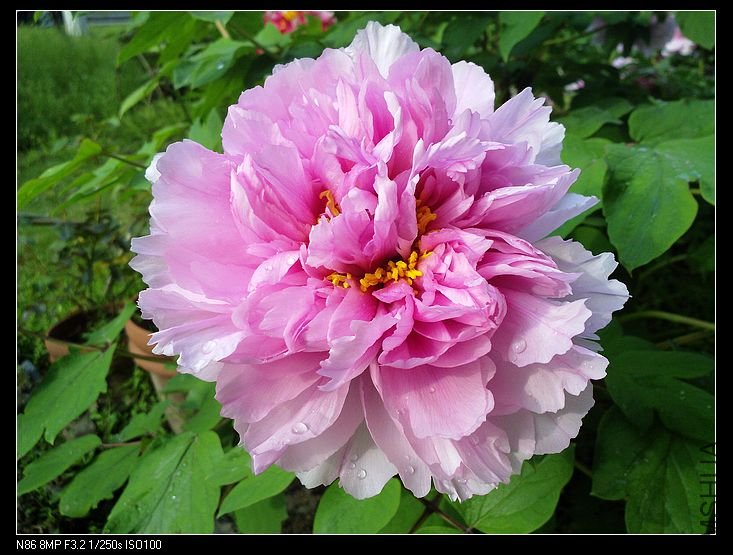 nEO_IMG_A12 034.jpg