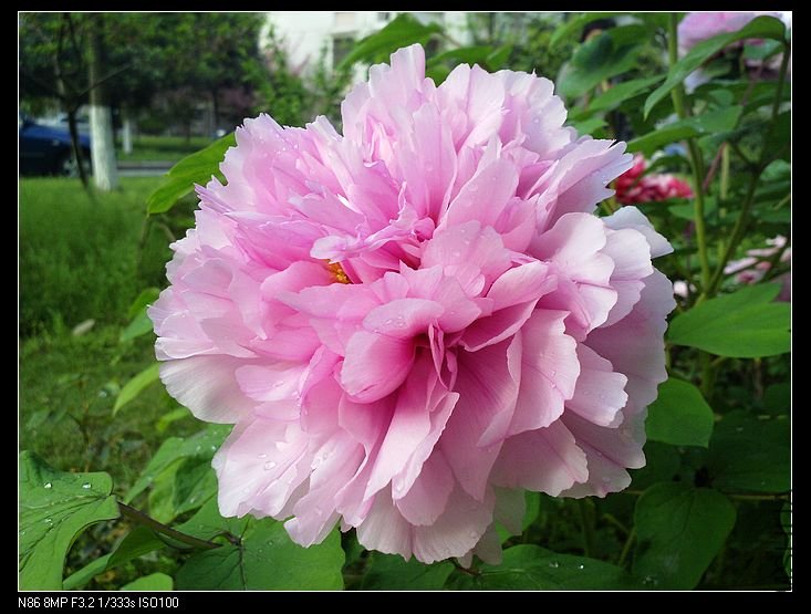nEO_IMG_A12 035.jpg