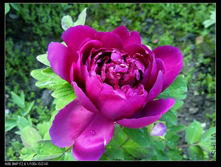 nEO_IMG_A12 037.jpg