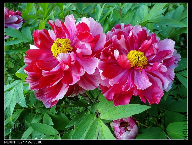 nEO_IMG_A12 038.jpg