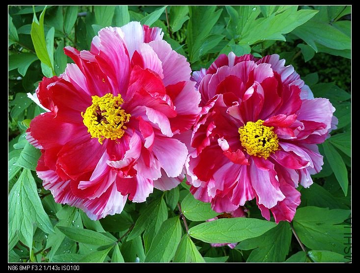 nEO_IMG_A12 039.jpg