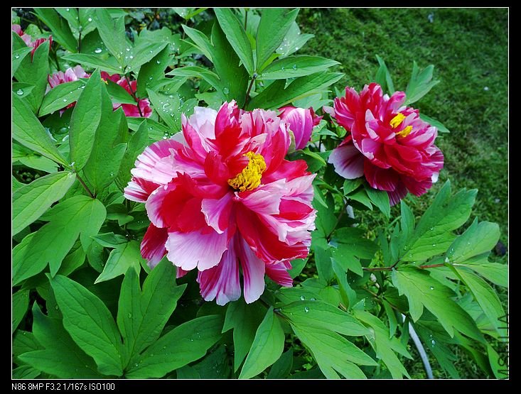 nEO_IMG_A12 040.jpg