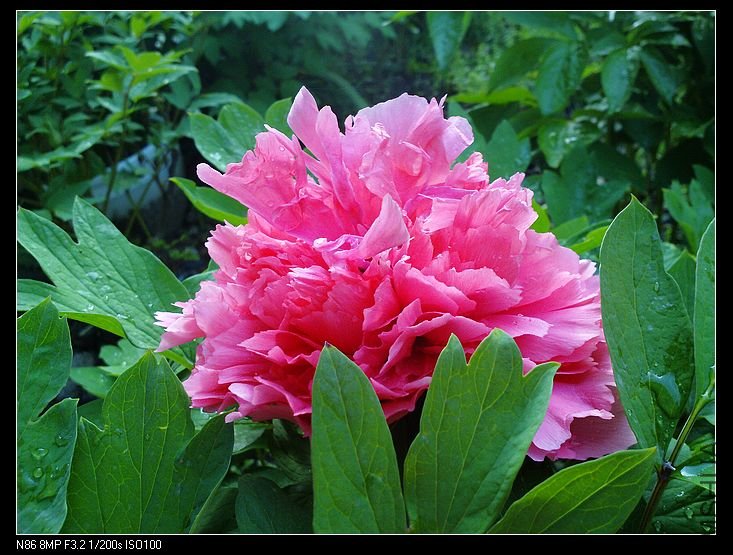 nEO_IMG_A12 041.jpg