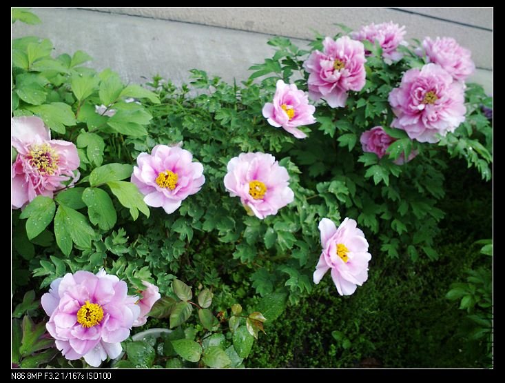 nEO_IMG_A12 044.jpg