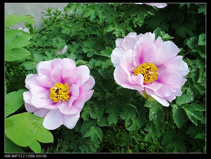 nEO_IMG_A12 045.jpg