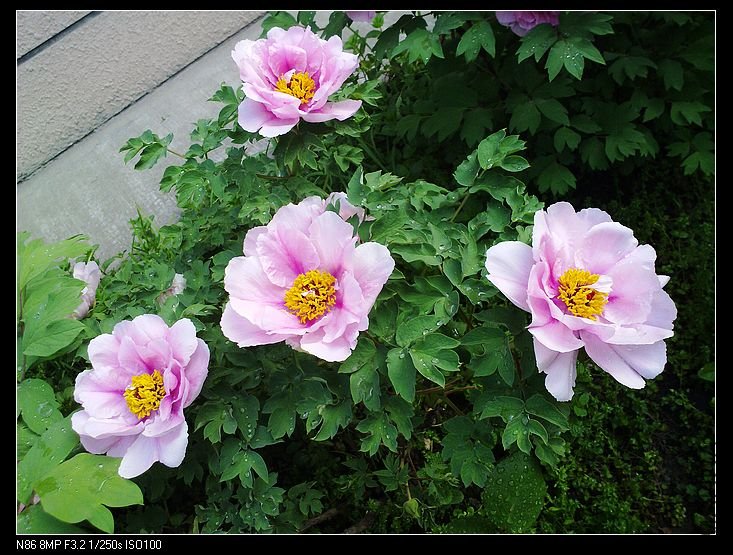 nEO_IMG_A12 046.jpg