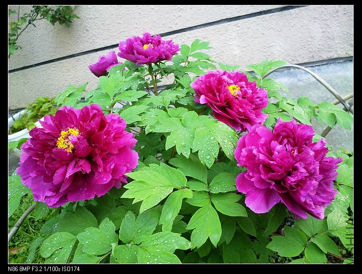 nEO_IMG_A12 047.jpg
