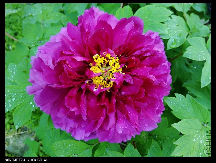 nEO_IMG_A12 048.jpg