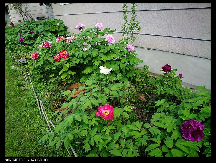 nEO_IMG_A12 050.jpg