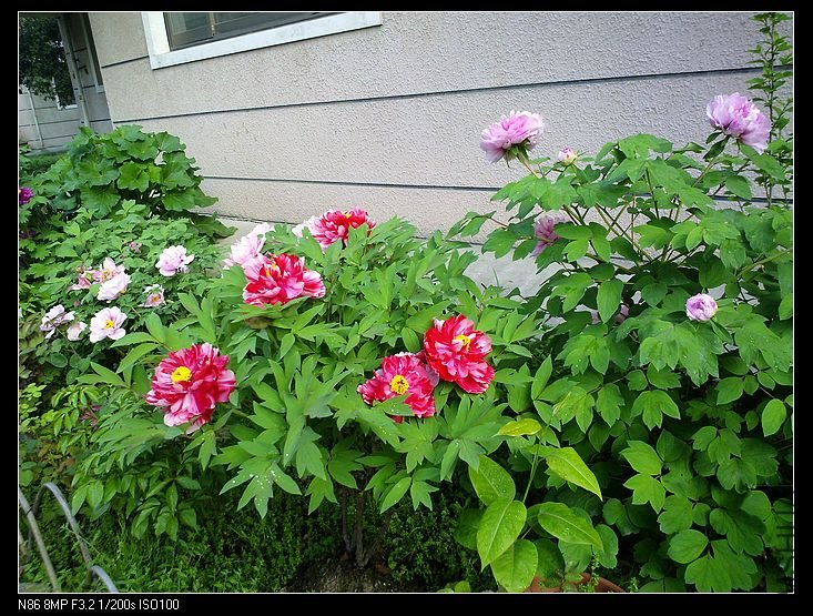 nEO_IMG_A12 051.jpg