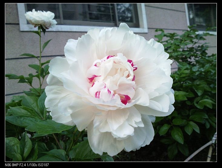 nEO_IMG_A12 066.jpg