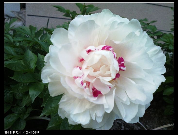 nEO_IMG_A12 068.jpg