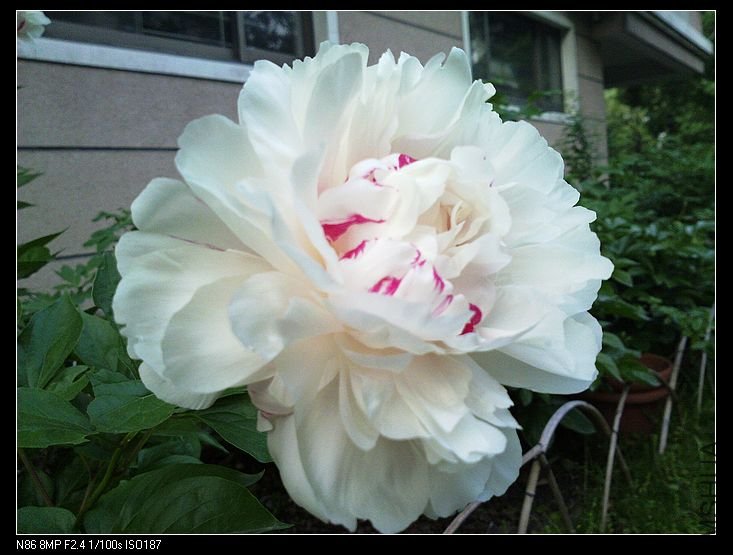 nEO_IMG_A12 069.jpg