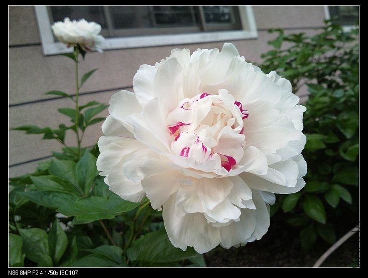 nEO_IMG_A12 071.jpg