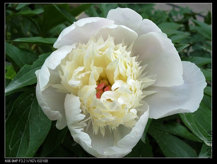 nEO_IMG_A12 093.jpg