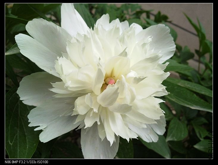 nEO_IMG_A12 094.jpg
