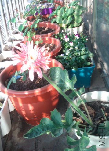 QQ��ͼ20120428085905.png