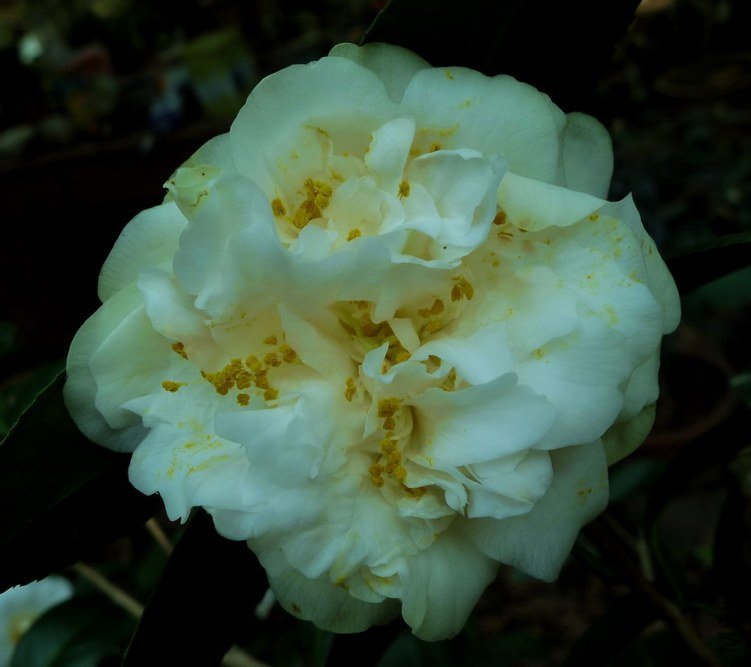 P1490061.jpg