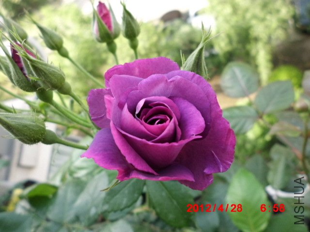 CIMG0584.JPG