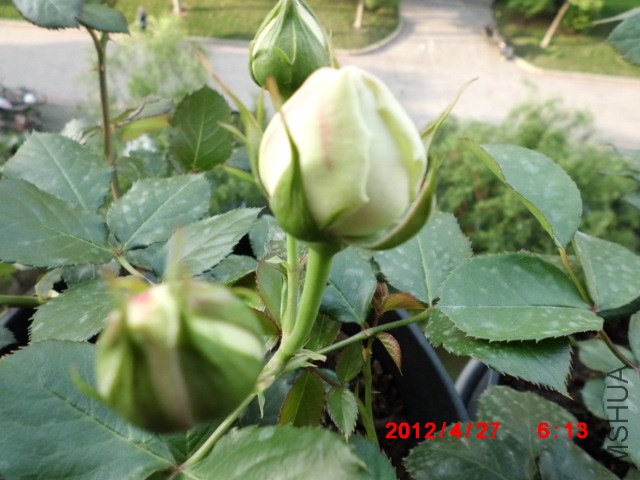 CIMG0564.JPG