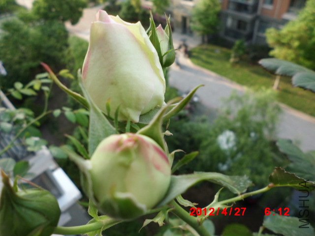 CIMG0563.JPG